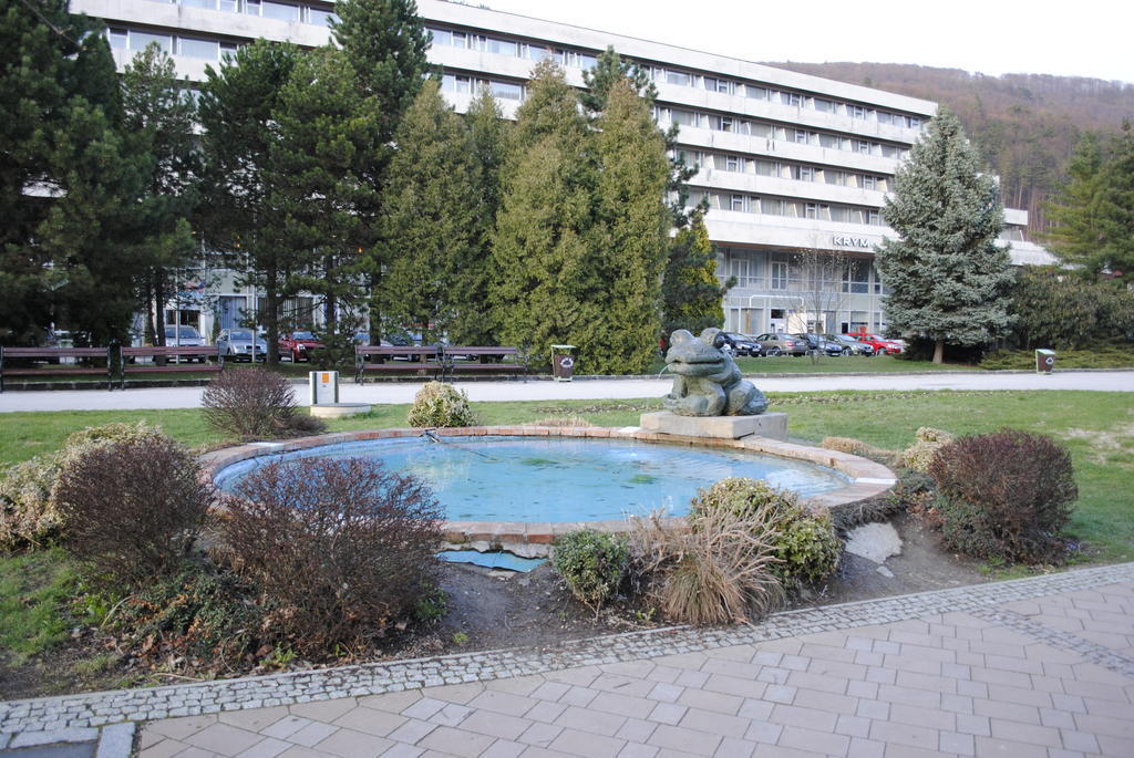 Pikk Trencianske Teplice Apartment Bilik gambar